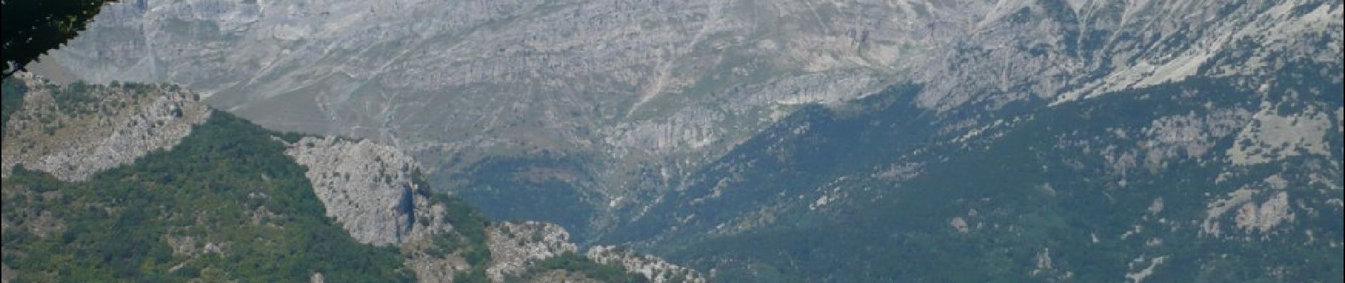 Percorso A piedi Mendatica - San Bernardo di Mendatica - Colle di Nava - Photo