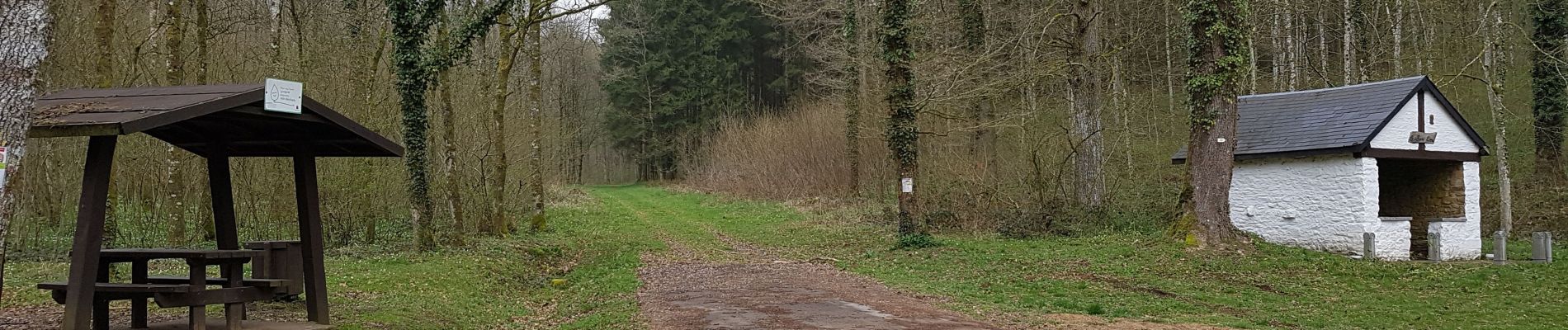 Trail Walking Virton - Balade à Rabais depuis la chapelle du Bonlieu - Photo