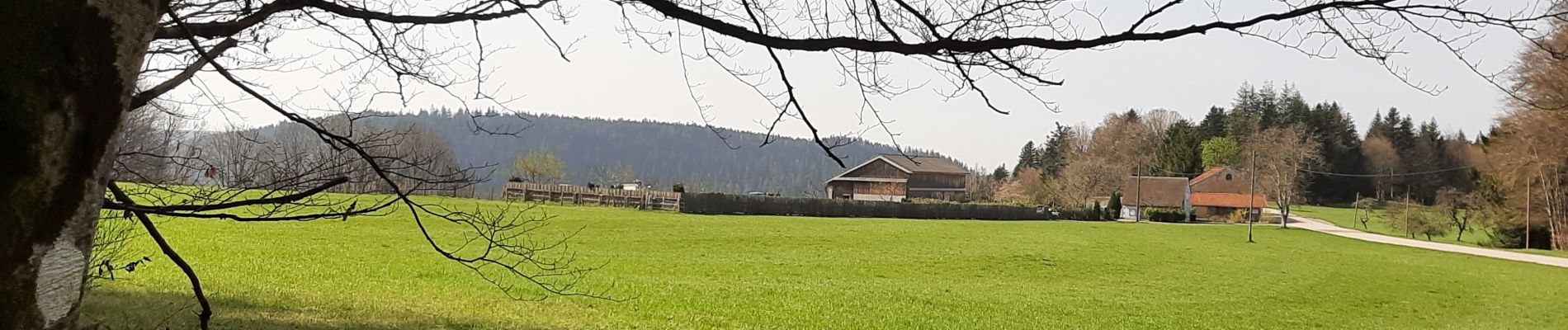 Randonnée Marche Le Val-d'Ajol - col du Peutet-Hérival-la Breuil20220414 - Photo