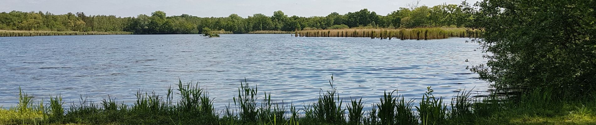 Randonnée Marche Dessel - Den Diel 12.1 km - Photo