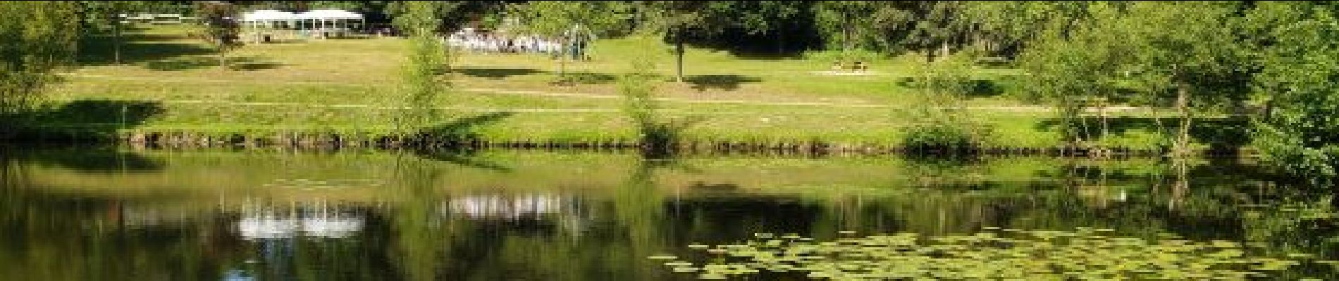 Point of interest Camors - Etang du petit bois - Photo