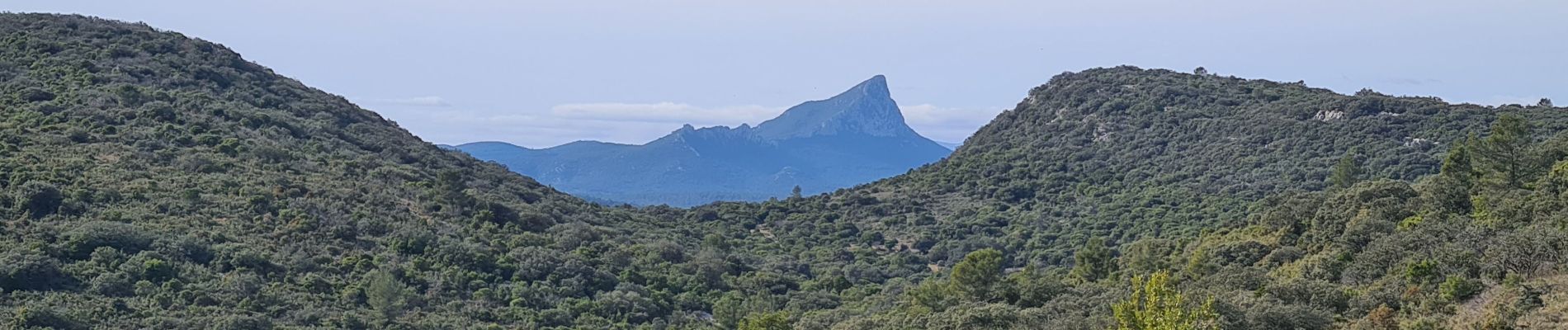 Trail Walking Garrigues - Garrigues-boisParis-grotte - Photo