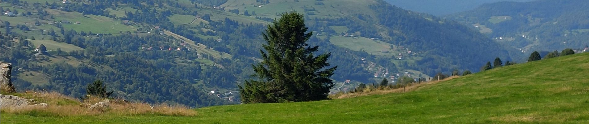 Excursión Senderismo La Bresse - Lac de Lispach, la Roche des Bioquets, La Tête de Grouvelin - Photo