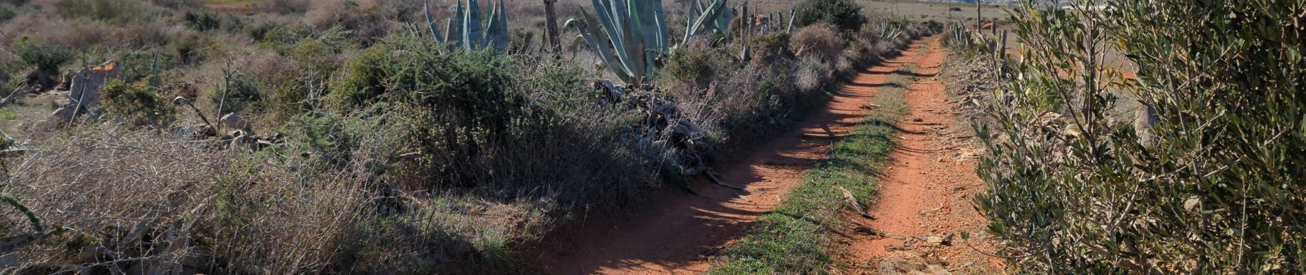 Randonnée Marche Níjar - Los Albaricoques 1 - Photo