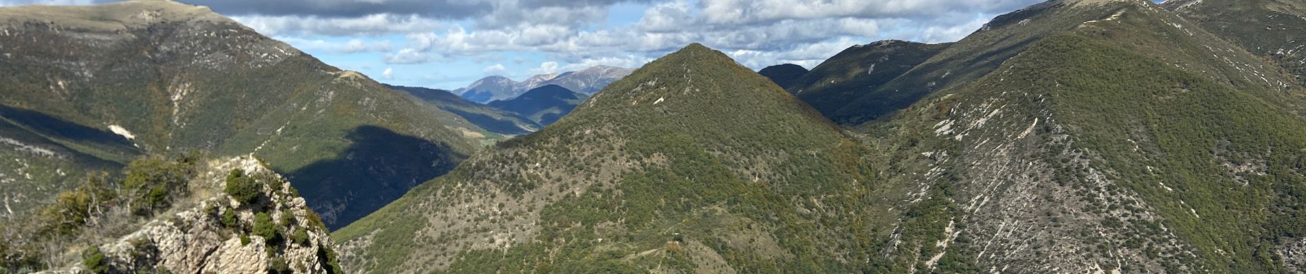 Randonnée Marche Saint-Ferréol-Trente-Pas - Le Vautour  - Photo