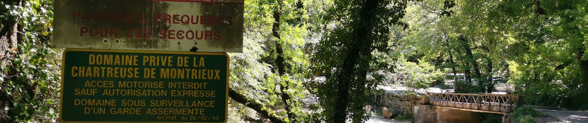 Tocht Stappen Méounes-lès-Montrieux - les aiguilles de valbelle  - Photo