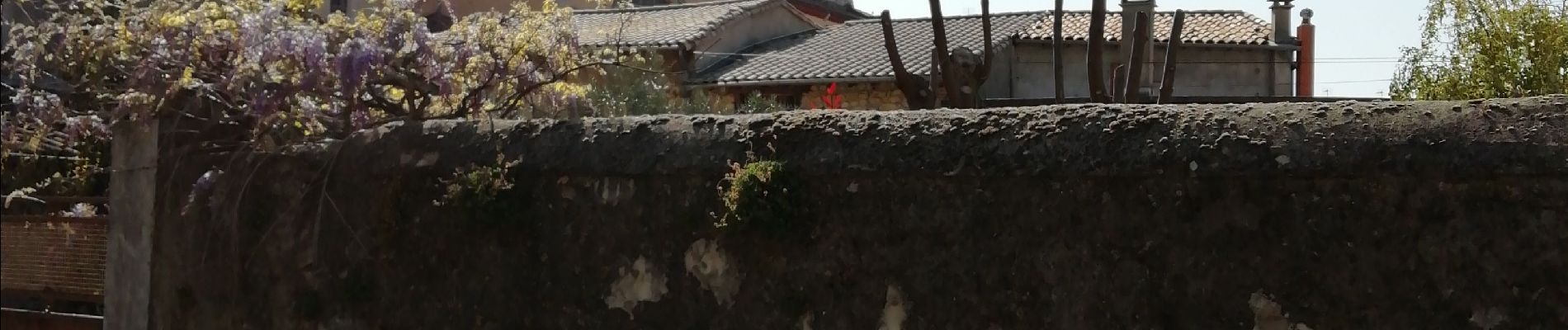 Randonnée Marche Loriol-sur-Drôme - De Vaucourte à St Pierre ( Loriol sur Drôme) - Photo