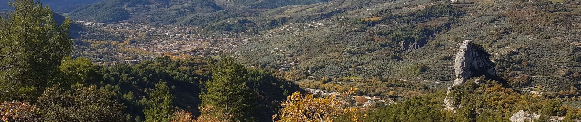 Tour Wandern Buis-les-Baronnies - sentier botanique  - Photo