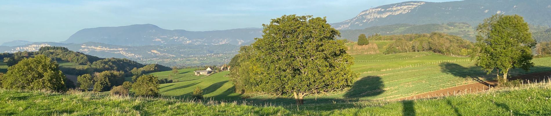 Trail Walking Velanne - Boucle autour de sauge - Photo