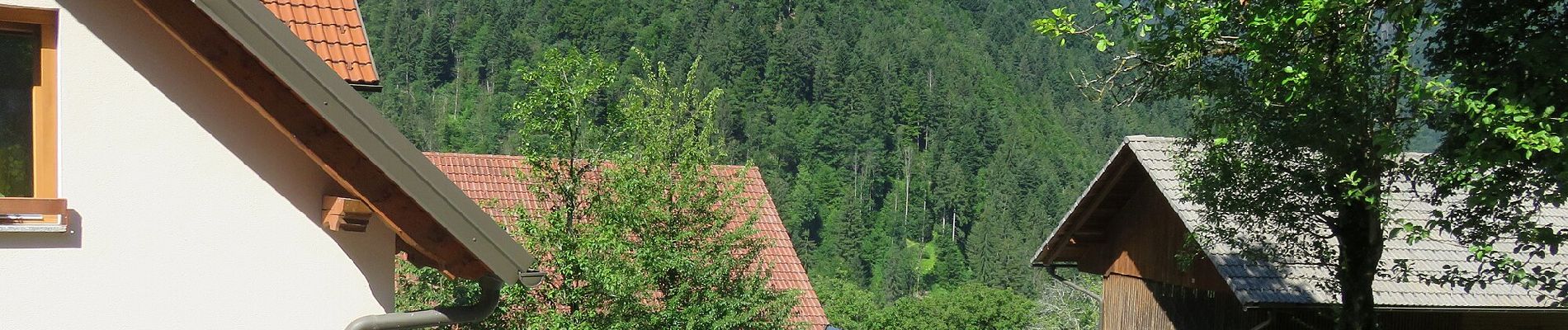 Tour Zu Fuß Eisnern - 123 ~ Pot kurirjev in vezistov NOV Slovenije - Photo