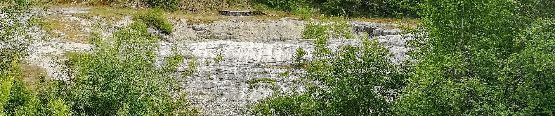 Tour Zu Fuß Göttingen - Rundwanderweg Seckborngrund/Omborn - Tour braune Raute - Photo