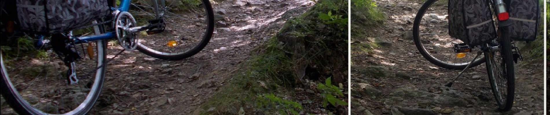 Percorso A piedi Dippoldiswalde - Rundweg Malter - Photo