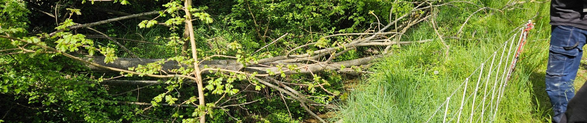 Tour Wandern Beauregard-Baret - Descente besset 2024 - Photo