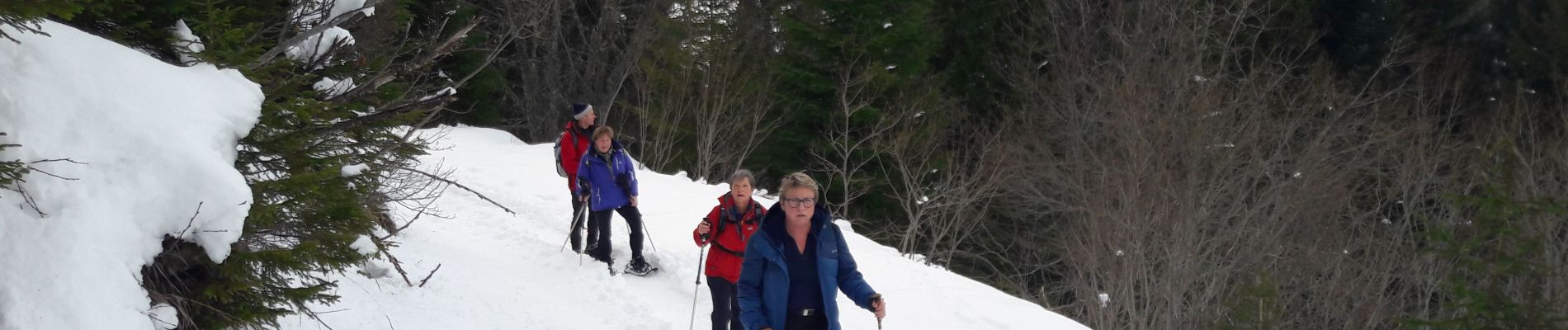 Randonnée Marche Châtel - chatel - Photo