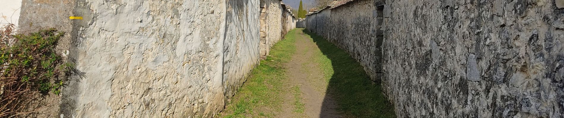 Tocht Stappen Fontainebleau - On fait le mur ? - Photo