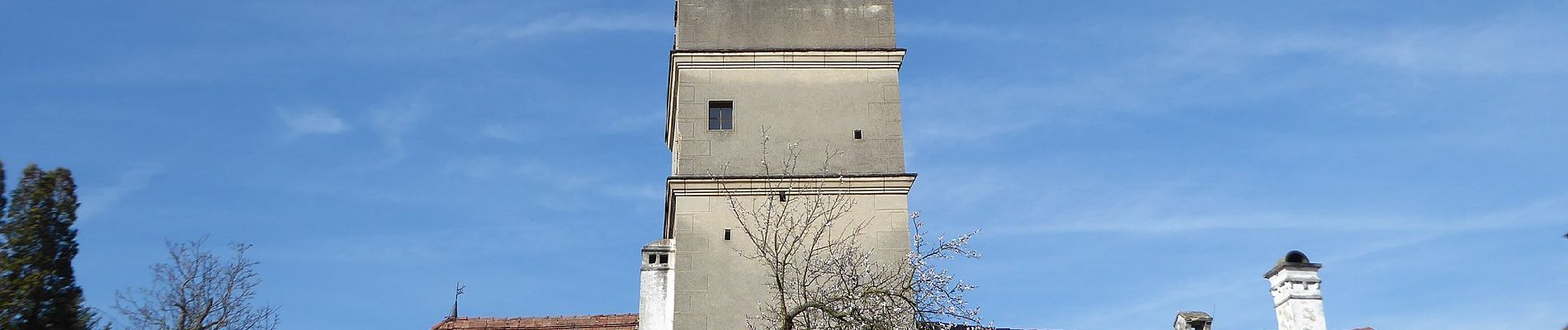 Excursión A pie Gemeinde Spitz - Schwallenbach-Ruine Hinterhaus-Spitz - Photo