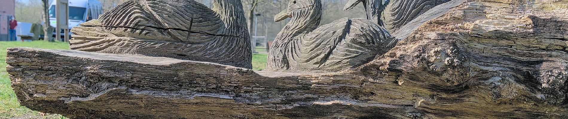 Tour Zu Fuß Willebroek - Vekielpad - Photo