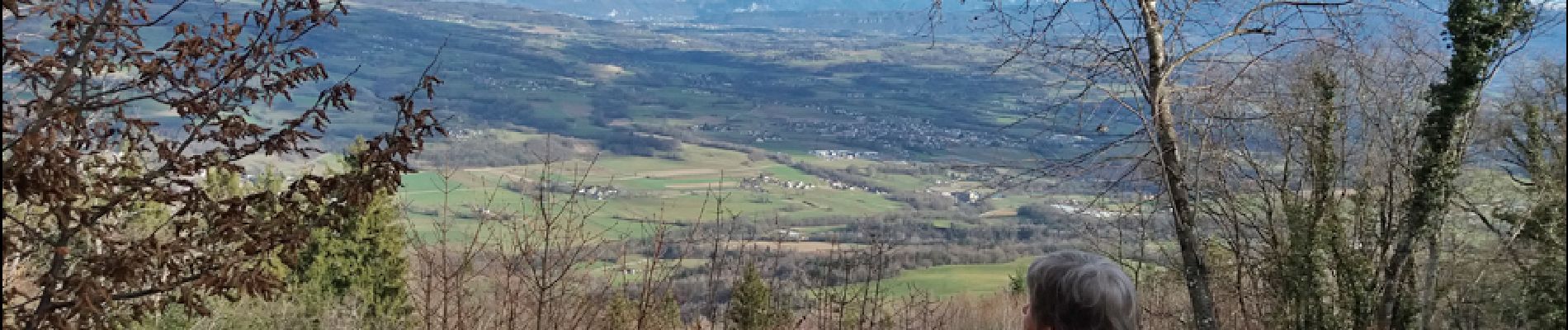 Randonnée Marche Lornay - LE GROS FOUG: LORNAY - Photo