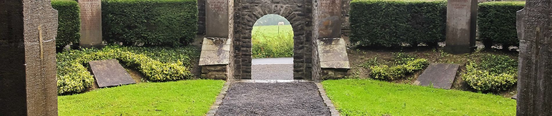 Percorso A piedi Wachtberg - Kottenforstweg - Photo