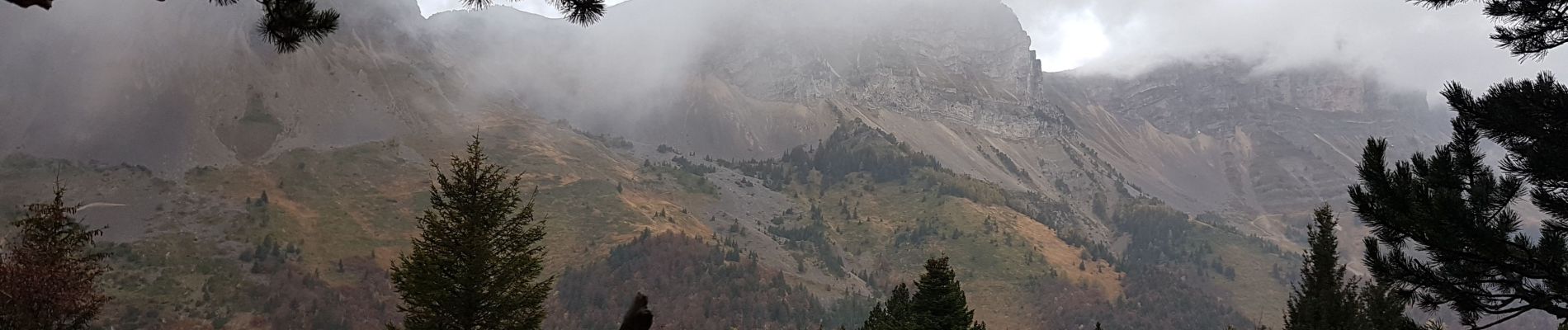 Excursión Senderismo Gresse-en-Vercors - Le Grand Brisou par le col de l'Allimas et la crête des Alleyrons - Photo