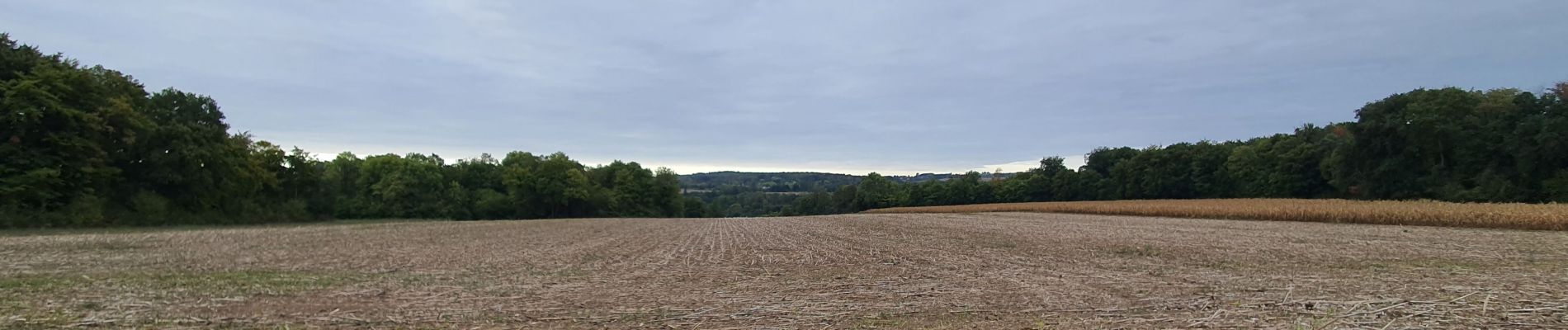 Excursión Senderismo La Chapelle-en-Serval - Rando de 08 kms du 20 septembre  - Photo