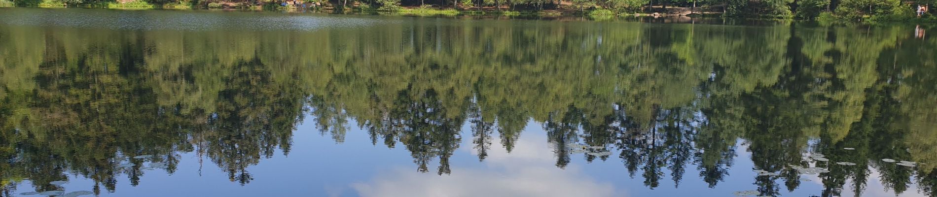 Randonnée Marche Vexaincourt - Le charme mystérieux du lac de la Maix - Photo