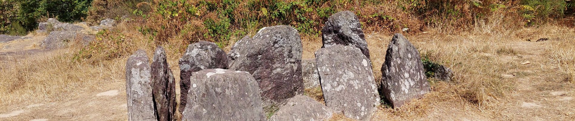 Tour Wandern Tréhorenteuc - Broceliande - Photo