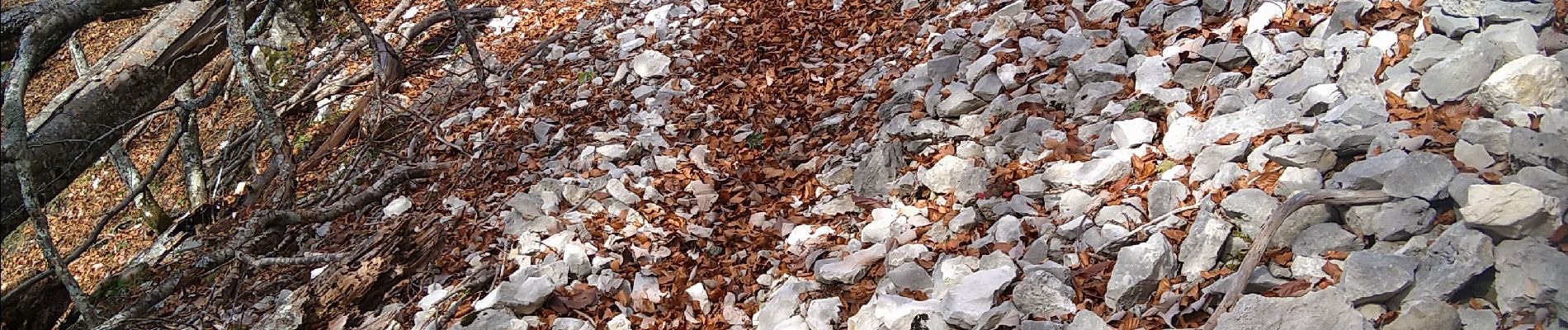 Randonnée Marche Champfromier - Champfromier les avalanches  - Photo