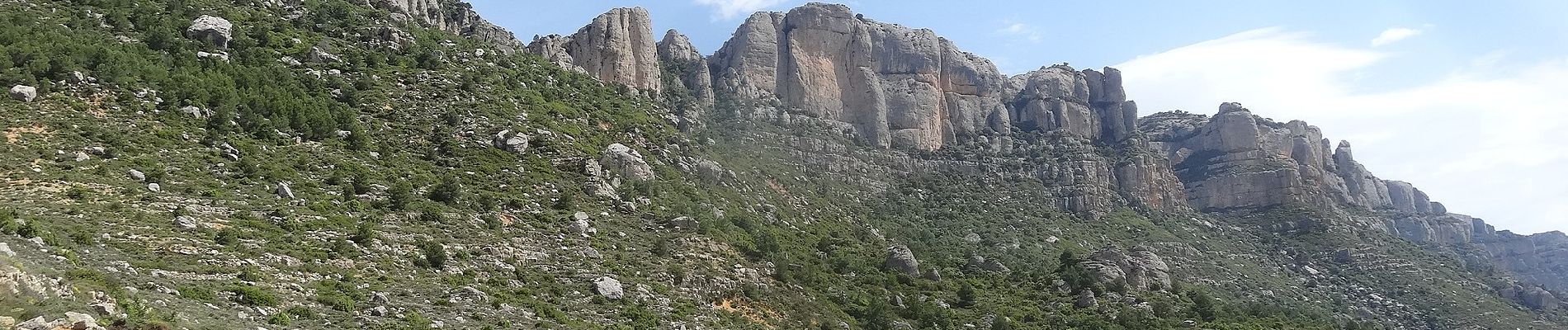 Excursión A pie la Morera de Montsant - La Morera de Montsant - Photo