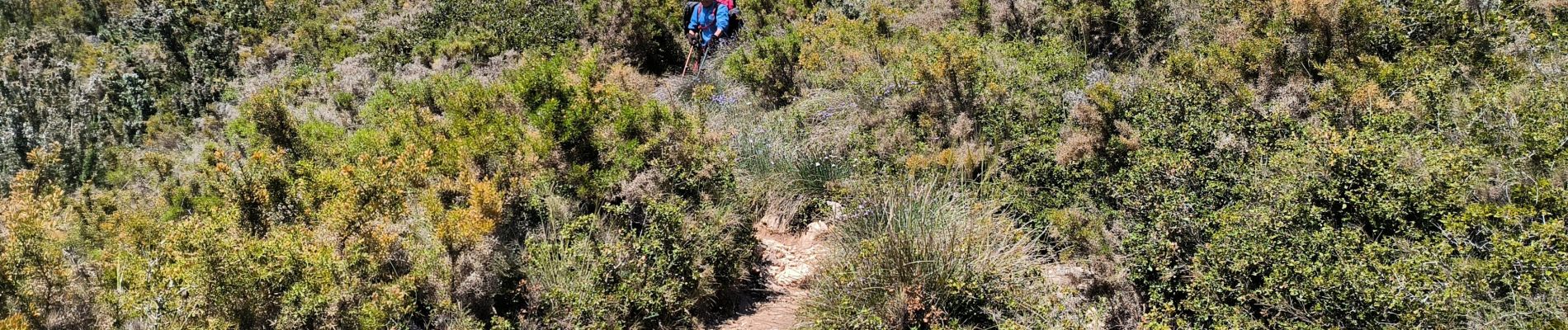 Tocht Stappen Marseille - carpiagne les eaux vives  - Photo