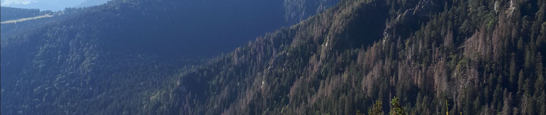 Tocht Stappen Stosswihr - Hirschteine/Boden/Lac Vert/Crêtes  - Photo