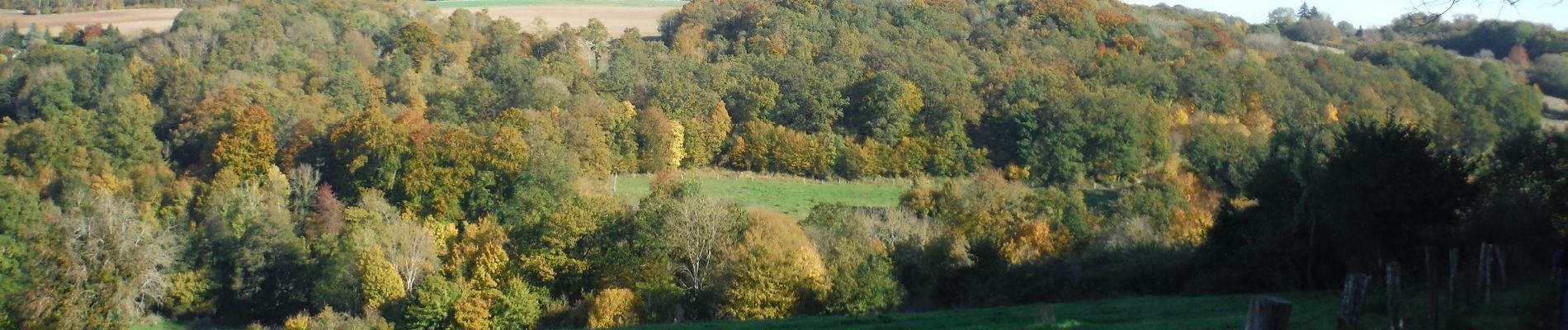 Randonnée Marche Pargny-la-Dhuys - Pargny-la-Dhuys du 28-10-2021 - Photo