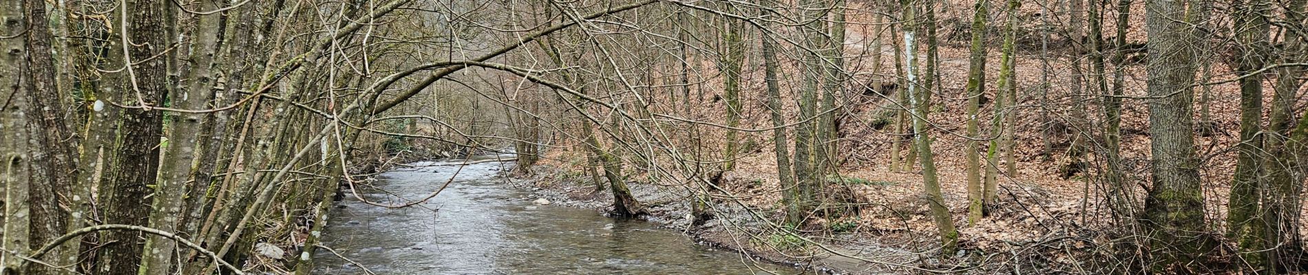 Tour Wandern Malmedy - Bévercé- vallée de la Warchenne - Chôdes  - Photo