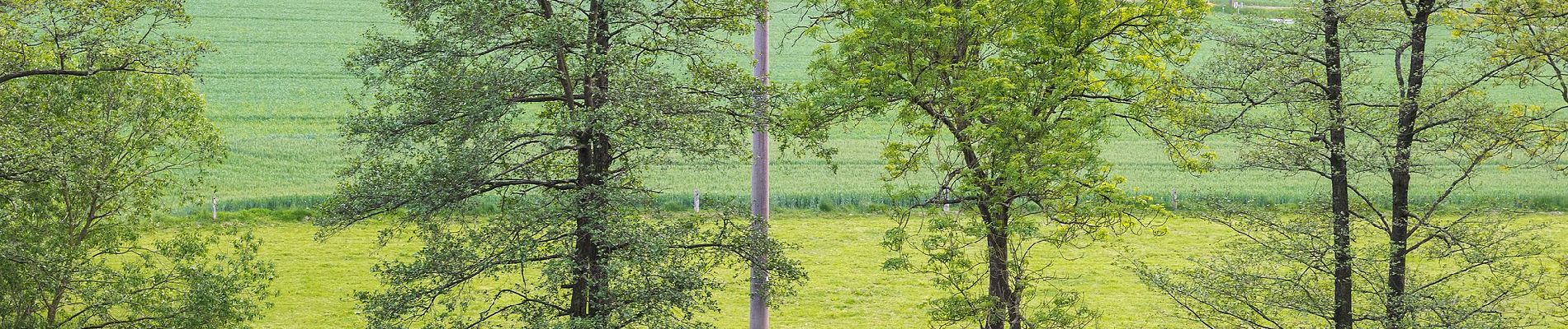 Percorso A piedi Lügde - Rundwanderweg A4 Rischenau - Kortenberg - Photo