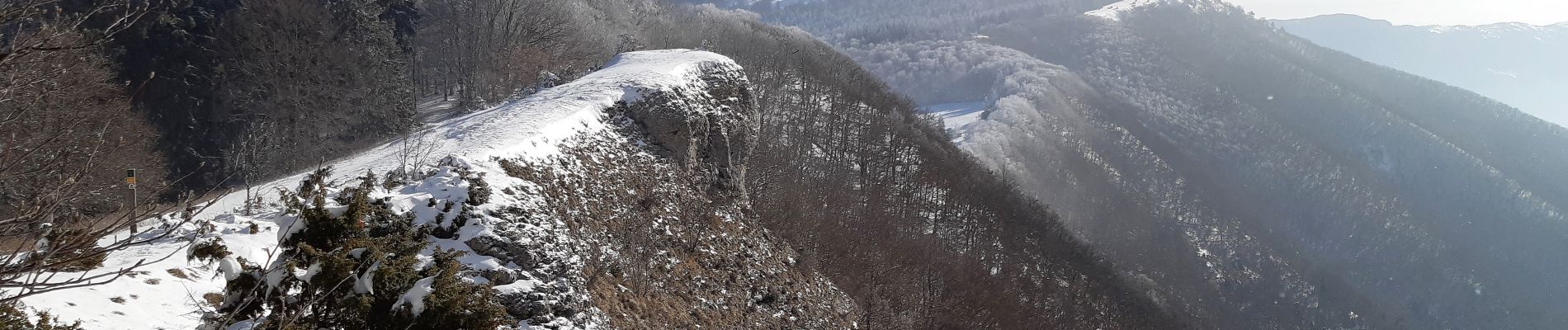 Tocht Stappen Vassieux-en-Vercors - Forêt communale de Dié - Photo