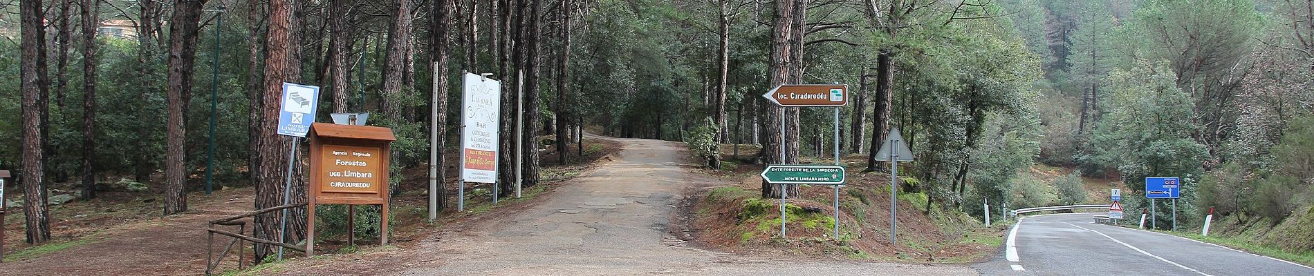 Percorso A piedi Tempio Pausania - Sentiero Italia - Tappa Z34 - Photo