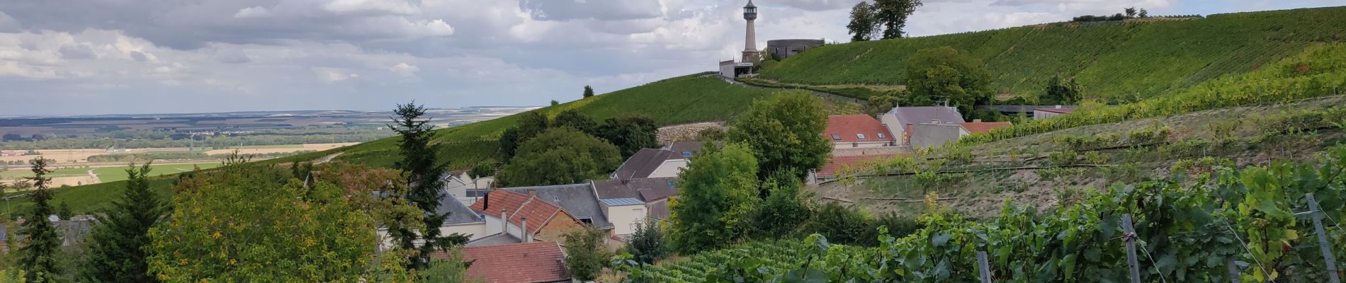 Tour Wandern Verzy - la balade bouquine - Photo