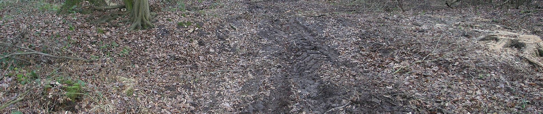 Tocht Te voet Sassenburg - Osloßer Allertal Rundwanderweg - Photo