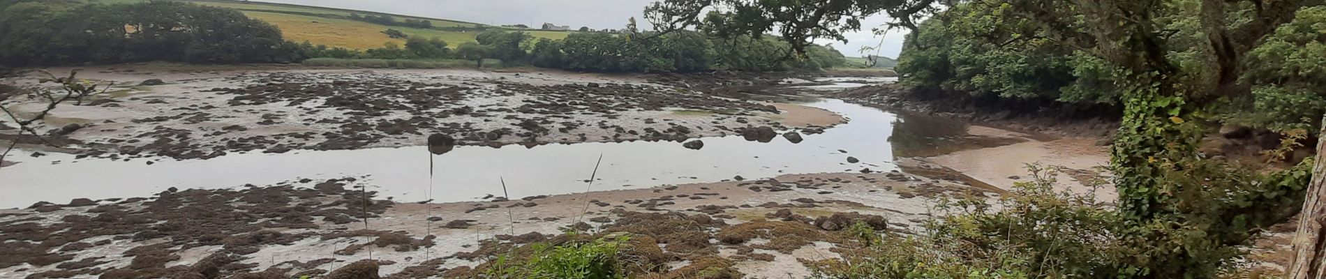 Randonnée Marche Lanildut - aber ildur - Photo