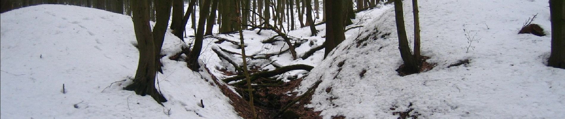 Excursión A pie Lübbecke - A0 Lübbecke-Gehlenbeck - Photo