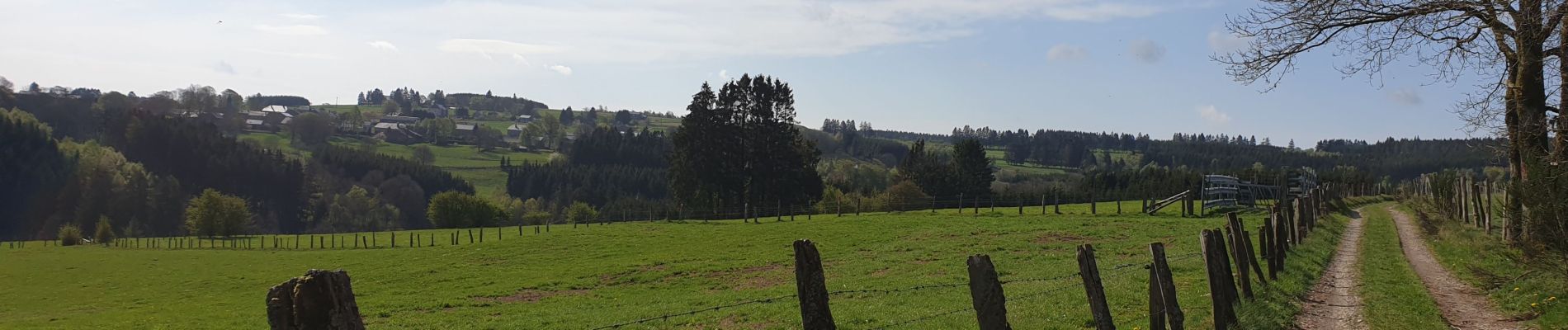 Tour Nordic Walking Vielsalm - baraque Baneux - Photo