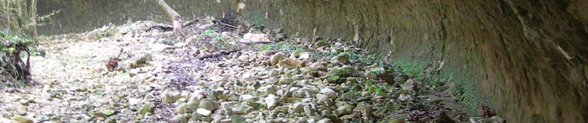 Percorso A piedi Negrar di Valpolicella - Quinzano - Montecchio - Photo