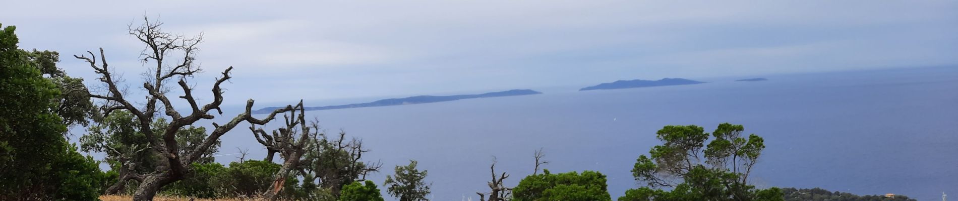 Excursión Senderismo Cavalaire-sur-Mer - rando avec serge et Ibrahim   le Pradet e retour par bonporteau - Photo