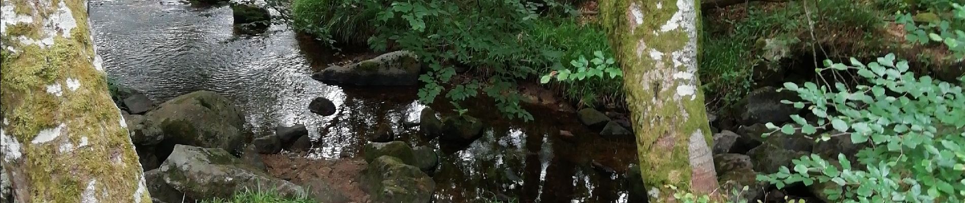 Tocht Stappen Tarnac - Fred moulins et rochers  - Photo