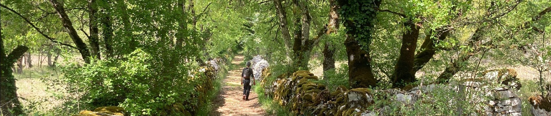 Tocht Stappen Gramat - Moulin du saut  - Photo