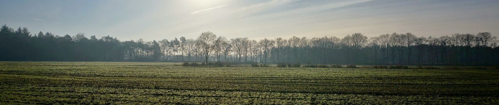 Trail On foot Bronckhorst - De Pinselroute - Photo