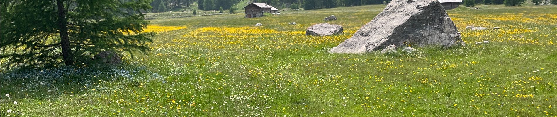 Tocht Stappen Villar-Saint-Pancrace - 20230627 Briancon La cachalot - Photo