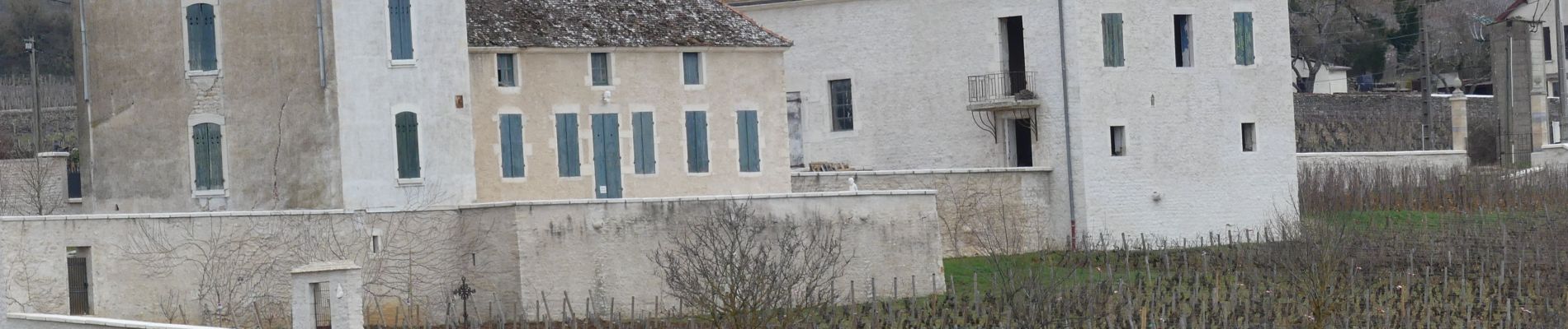 Percorso A piedi Chassagne-Montrachet - V - 2019 5/03 CHASSAGNE - Photo