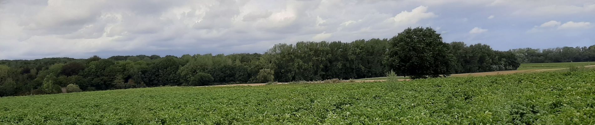 Randonnée Marche Estinnes - Rpeissant - Photo