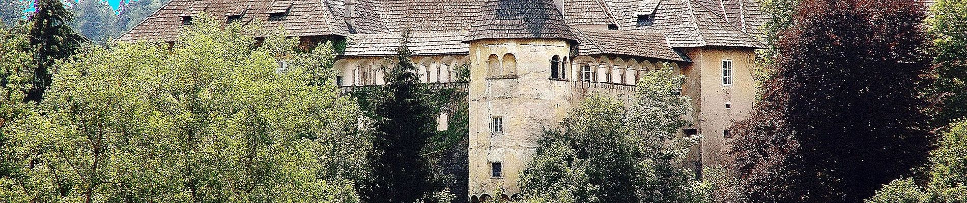 Excursión A pie Krumpendorf am Wörthersee - Krumpendorfer Weitwanderweg - Photo